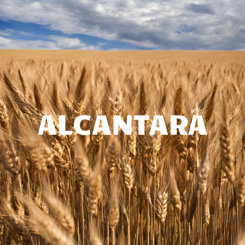 ALCANTARA